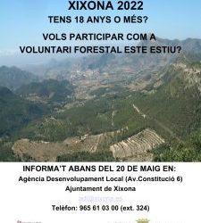 Voluntariado forestal 2022