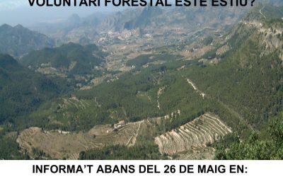 Voluntariat Ambiental 2023