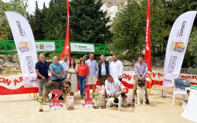 El concurs nacional caní celebra una de les edicions  amb més participació després del canvi de dates